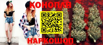 гидра Апшеронск