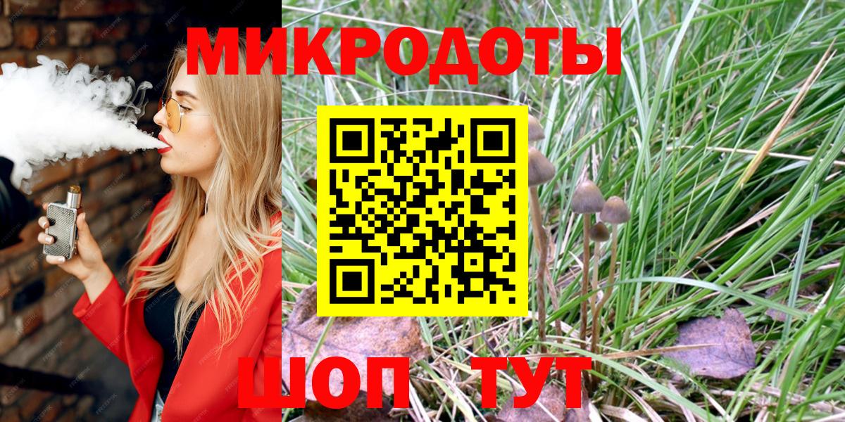 Псилоцибиновые грибы Cubensis Апшеронск