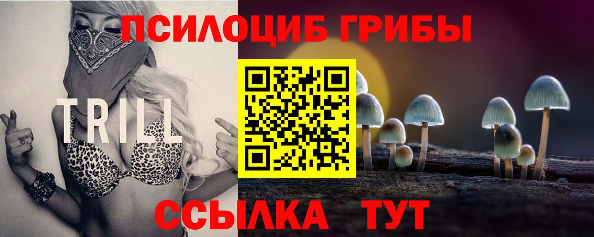Апшеронск  Псилоцибиновые грибы MAGIC MUSHROOMS  Вход с VPN 